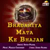 Shyam Paliwal - Bhadariya Mata Ke Bhajan